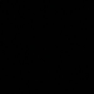 Meet your Posher, Areej